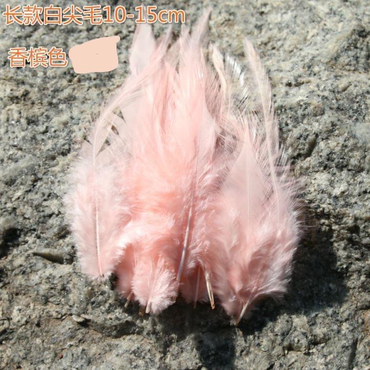 10pcs/lot beautiful Chicken Feather 10-15cm/4-6Inch Rooster Feathers for crafts DIY Jewelry Accessories plumas(1187L) - Image 21