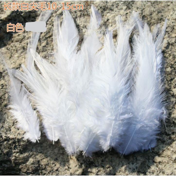 10pcs/lot beautiful Chicken Feather 10-15cm/4-6Inch Rooster Feathers for crafts DIY Jewelry Accessories plumas(1187L) - Image 26