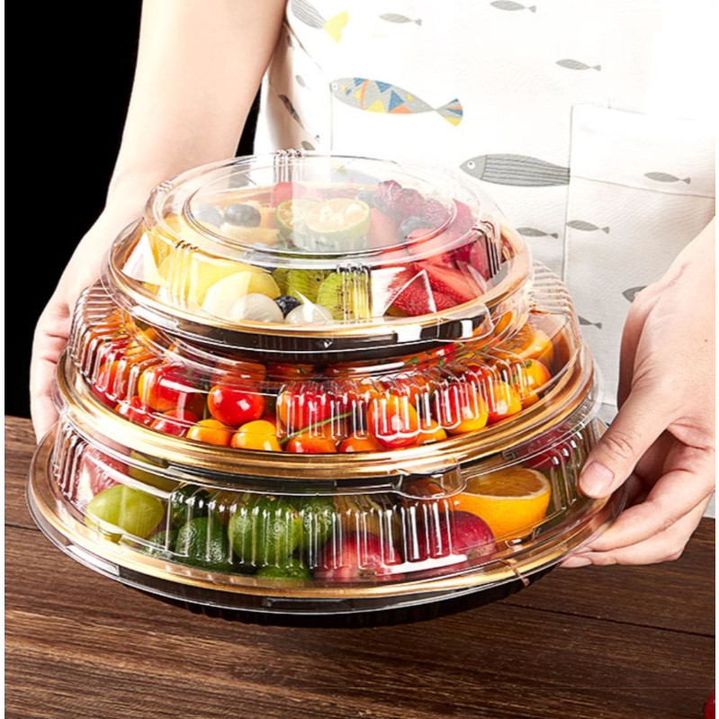 Disposable Fruit Snack Platter Environmentally Friendly Plastic PET Material Commercial Sushi Dish Sashimi (4042L) - Image 8