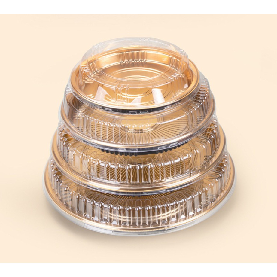 Disposable Fruit Snack Platter Environmentally Friendly Plastic PET Material Commercial Sushi Dish Sashimi (4042L) - Image 2
