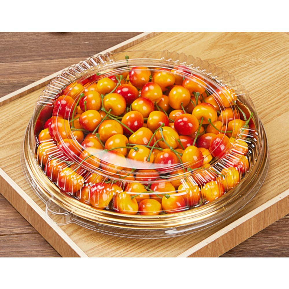 Disposable Fruit Snack Platter Environmentally Friendly Plastic PET Material Commercial Sushi Dish Sashimi (4042L) - Image 9