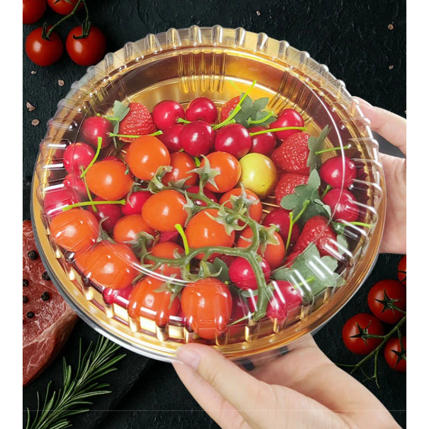 Disposable Fruit Snack Platter Environmentally Friendly Plastic PET Material Commercial Sushi Dish Sashimi (4042L) - Image 4