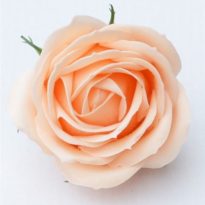 25pcs 5 Layer Rose Soap Flower Head Wedding Valentine's Day Christmas Gift DIY Artificial Flowers Home Decor(2082L) - Image 20