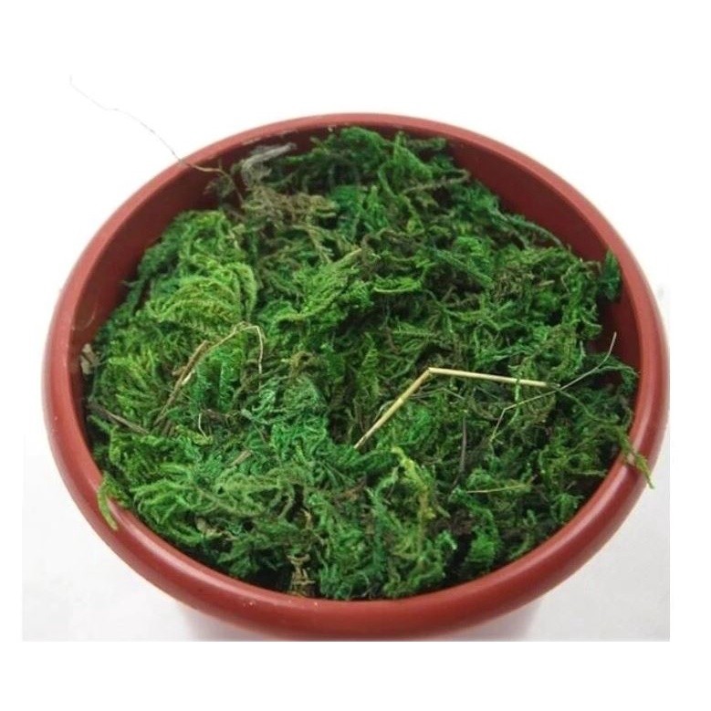 10g/bag Artificial Dried Moss Lining Decor Flower Hanging Baskets Gardening Wedding Party DIY Decoration Crafts(1068L) - Image 6