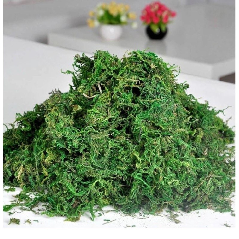 10g/bag Artificial Dried Moss Lining Decor Flower Hanging Baskets Gardening Wedding Party DIY Decoration Crafts(1068L) - Image 3