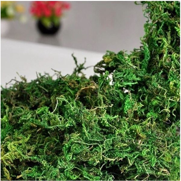10g/bag Artificial Dried Moss Lining Decor Flower Hanging Baskets Gardening Wedding Party DIY Decoration Crafts(1068L) - Image 5