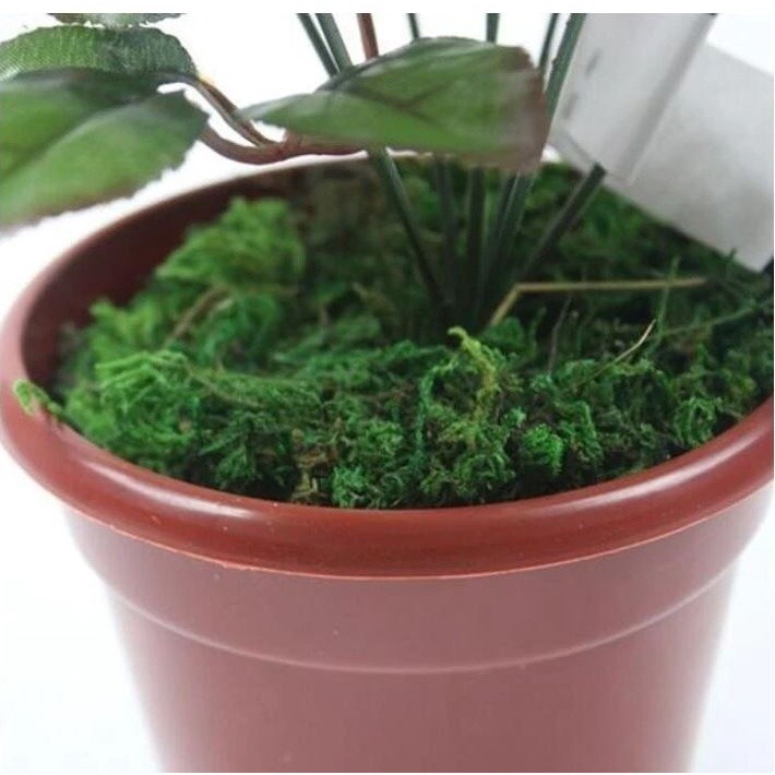 10g/bag Artificial Dried Moss Lining Decor Flower Hanging Baskets Gardening Wedding Party DIY Decoration Crafts(1068L) - Image 7