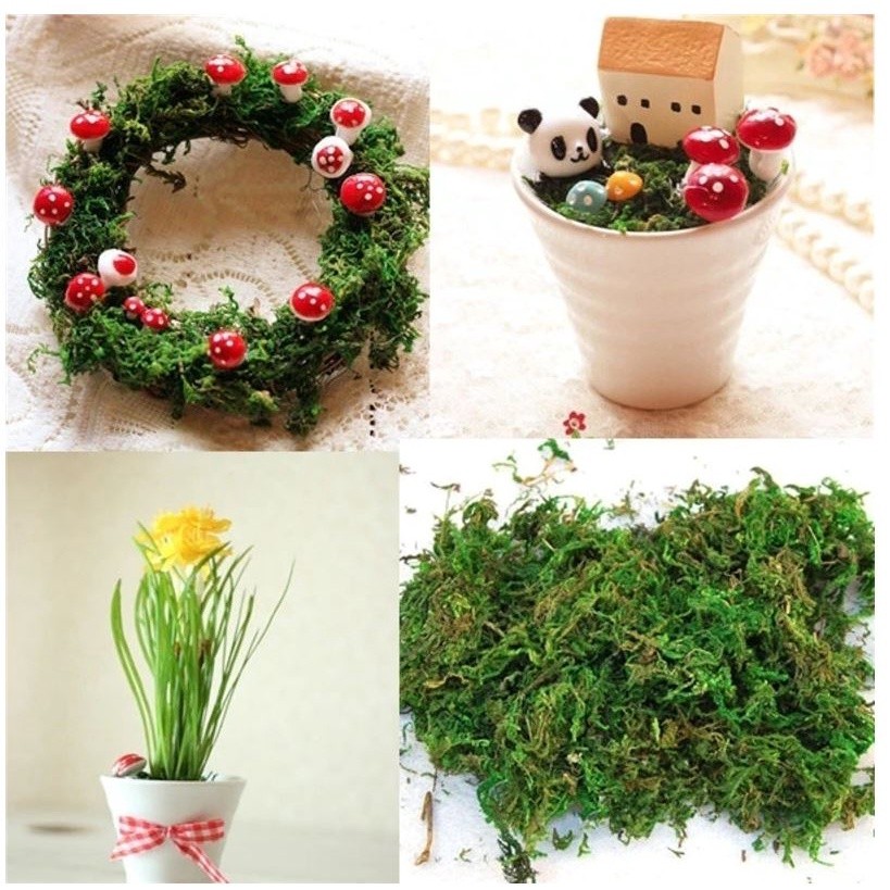 10g/bag Artificial Dried Moss Lining Decor Flower Hanging Baskets Gardening Wedding Party DIY Decoration Crafts(1068L) - Image 2