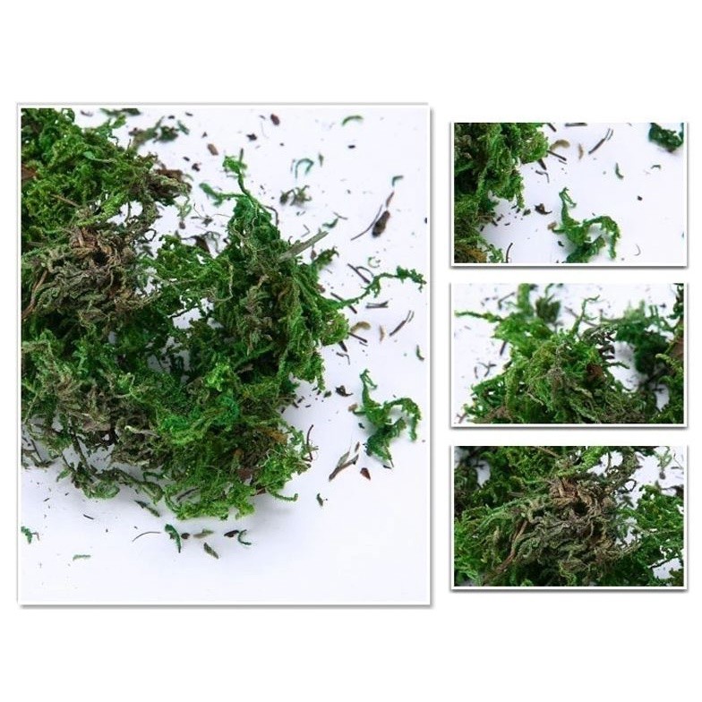 10g/bag Artificial Dried Moss Lining Decor Flower Hanging Baskets Gardening Wedding Party DIY Decoration Crafts(1068L) - Image 4