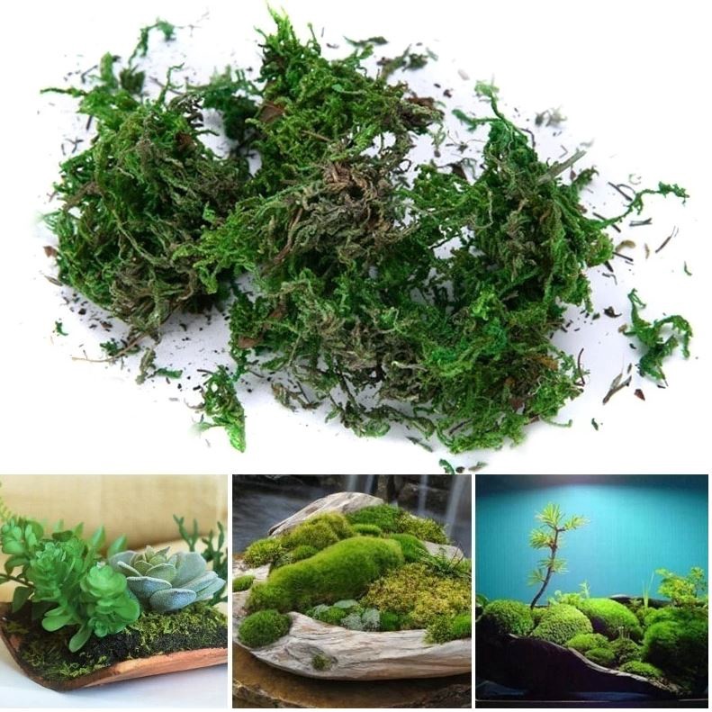 10g/bag Artificial Dried Moss Lining Decor Flower Hanging Baskets Gardening Wedding Party DIY Decoration Crafts(1068L)