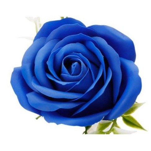 1Pc 6 Layer 7cm Soap Rose Artificial Flower Wedding Home Furnishings High Quality Superior Flower Valentine's Day(582L) - Image 9