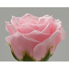 1Pc 6 Layer 7cm Soap Rose Artificial Flower Wedding Home Furnishings High Quality Superior Flower Valentine's Day(582L) - Image 15