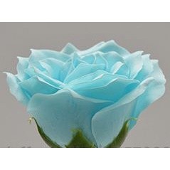 1Pc 6 Layer 7cm Soap Rose Artificial Flower Wedding Home Furnishings High Quality Superior Flower Valentine's Day(582L) - Image 13