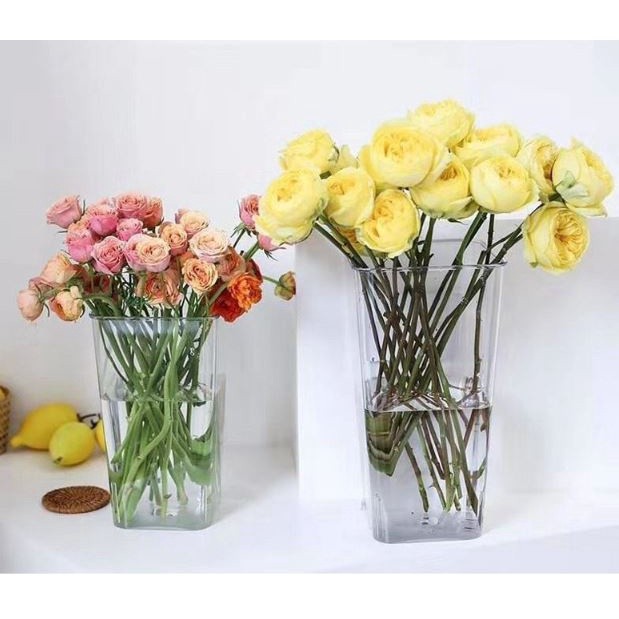 Transparent Square Circular PE Flower Basket potted Planter (2759L) - Image 3