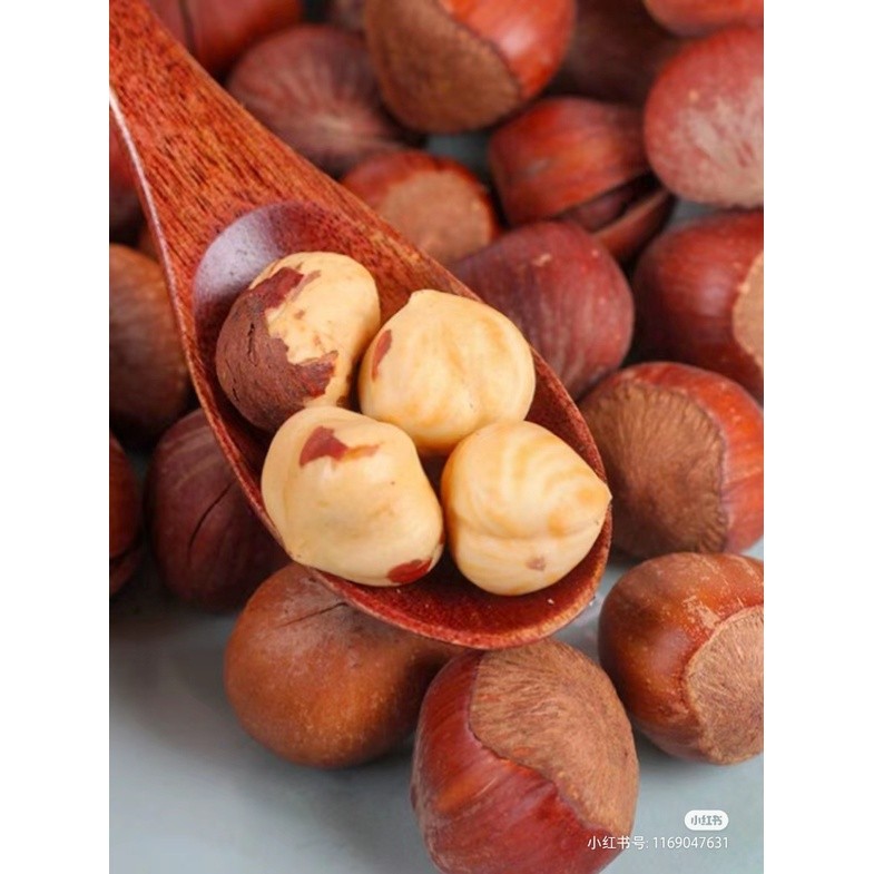 Hazelnut with Skin halal / imported / premium / fresh - Wholesale Price Ready Stock (2624L)