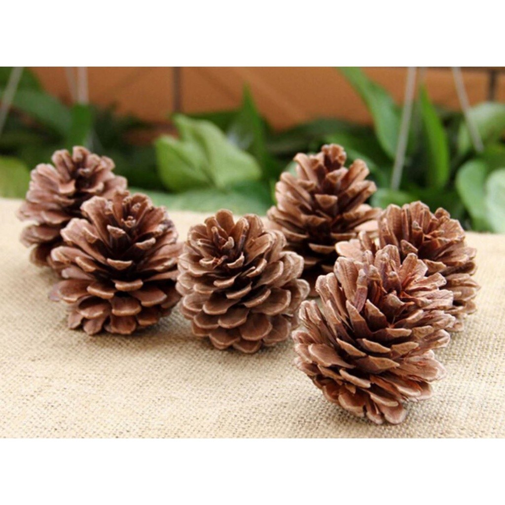 2pcs Christmas Tree Hanging Pine Cones Wood Pinecone Balls For Home Office Party Decorations Xmas Ornament(1076L) - Image 2