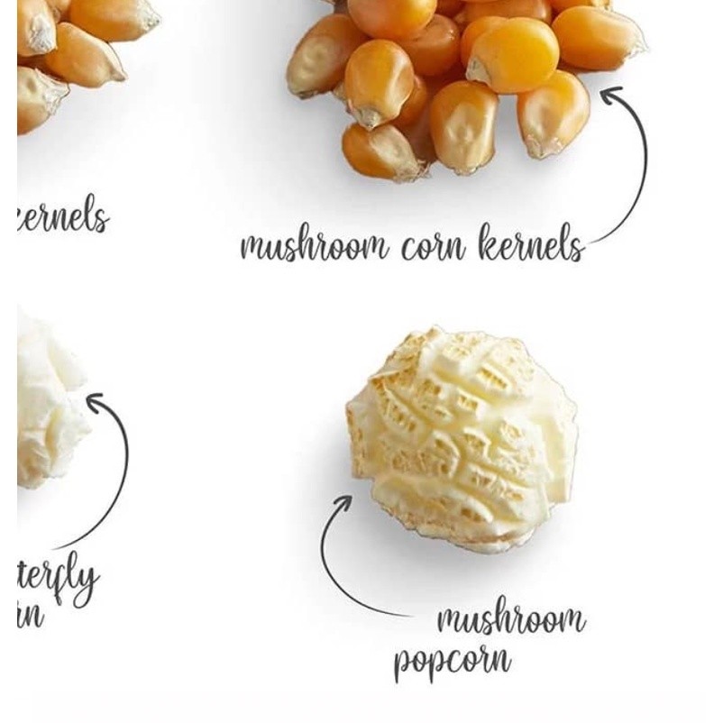 Pop Corn Biji Jagung Corn Kernel Bertih Jagung Mushroom Popcorn Mushroom Kernel Butterfly USA / SA 爆米花 玉米粒 (2635L) - Image 5