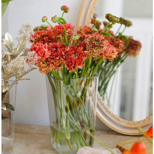 Transparent Square Circular PE Flower Basket potted Planter (2759L) - Image 5