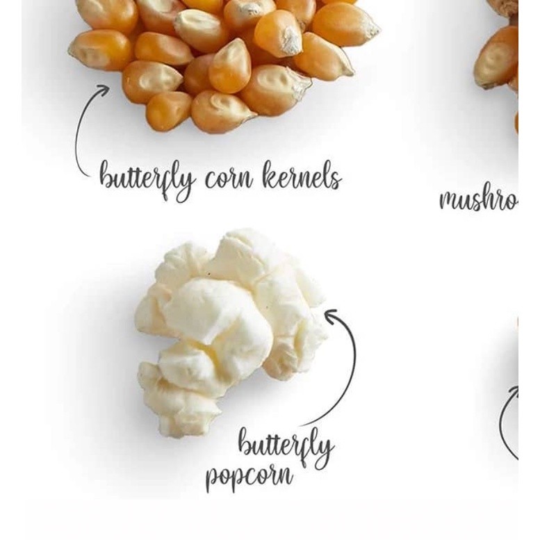 Pop Corn Biji Jagung Corn Kernel Bertih Jagung Mushroom Popcorn Mushroom Kernel Butterfly USA / SA 爆米花 玉米粒 (2635L) - Image 6