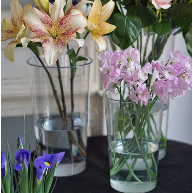 Transparent Square Circular PE Flower Basket potted Planter (2759L) - Image 8