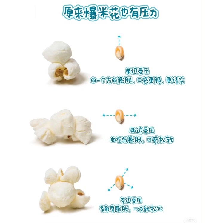 Pop Corn Biji Jagung Corn Kernel Bertih Jagung Mushroom Popcorn Mushroom Kernel Butterfly USA / SA 爆米花 玉米粒 (2635L) - Image 4