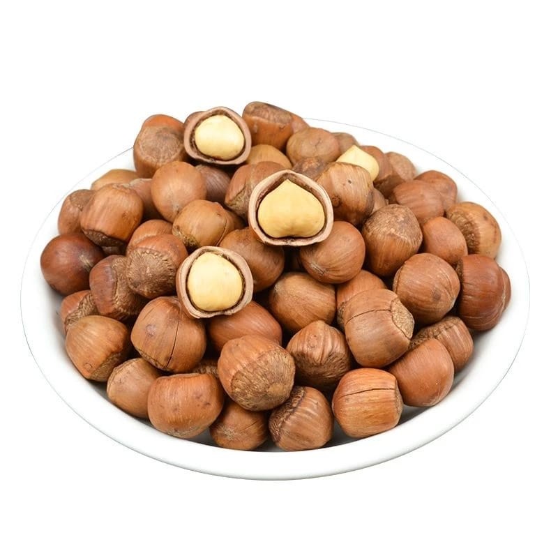 Hazelnut with Skin halal / imported / premium / fresh - Wholesale Price Ready Stock (2624L) - Image 10