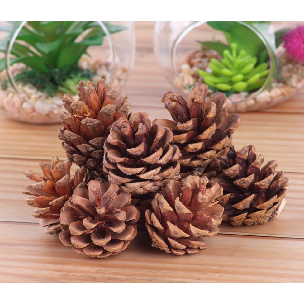 2pcs Christmas Tree Hanging Pine Cones Wood Pinecone Balls For Home Office Party Decorations Xmas Ornament(1076L)