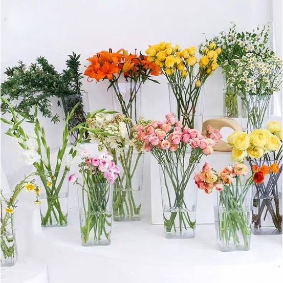 Transparent Square Circular PE Flower Basket potted Planter (2759L) - Image 2