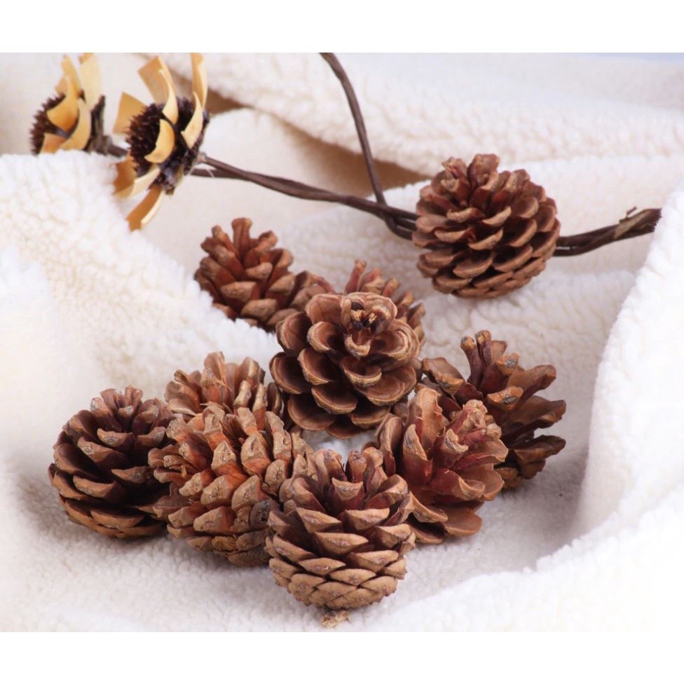 2pcs Christmas Tree Hanging Pine Cones Wood Pinecone Balls For Home Office Party Decorations Xmas Ornament(1076L) - Image 5