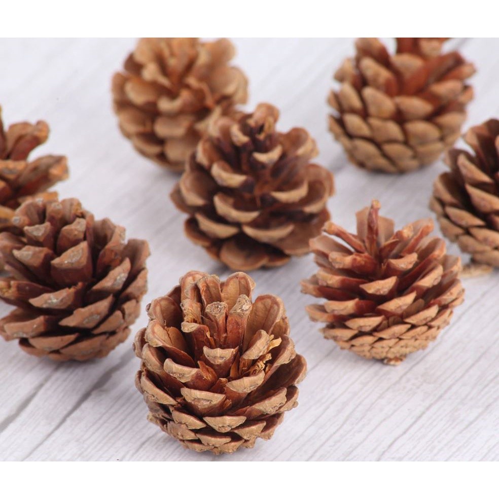 2pcs Christmas Tree Hanging Pine Cones Wood Pinecone Balls For Home Office Party Decorations Xmas Ornament(1076L) - Image 4
