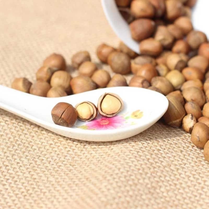 Hazelnut with Skin halal / imported / premium / fresh - Wholesale Price Ready Stock (2624L) - Image 6