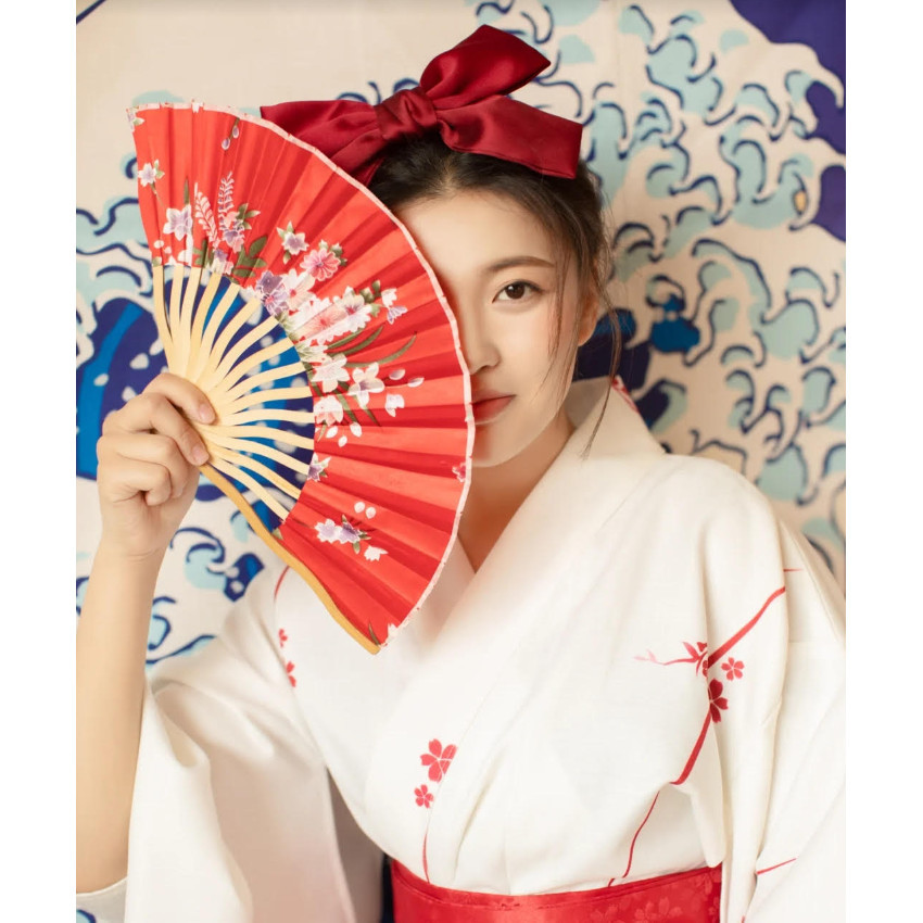 Classical Plastic Folding Fan Chinese Style Retro Hand Held Fan Floral Dance Performances Custom Fan Wedding (2839L)