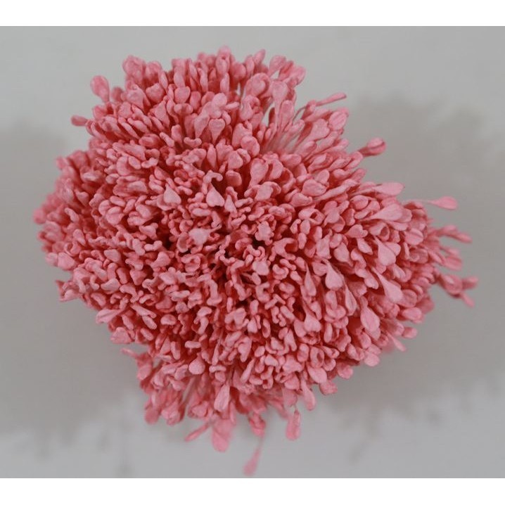 50pcs 3mm-5mm Mini Stamen Matte Handmade Artificial Flowers For Wedding Party Home Decoration DIY Flower Garland(1589L) - Image 10