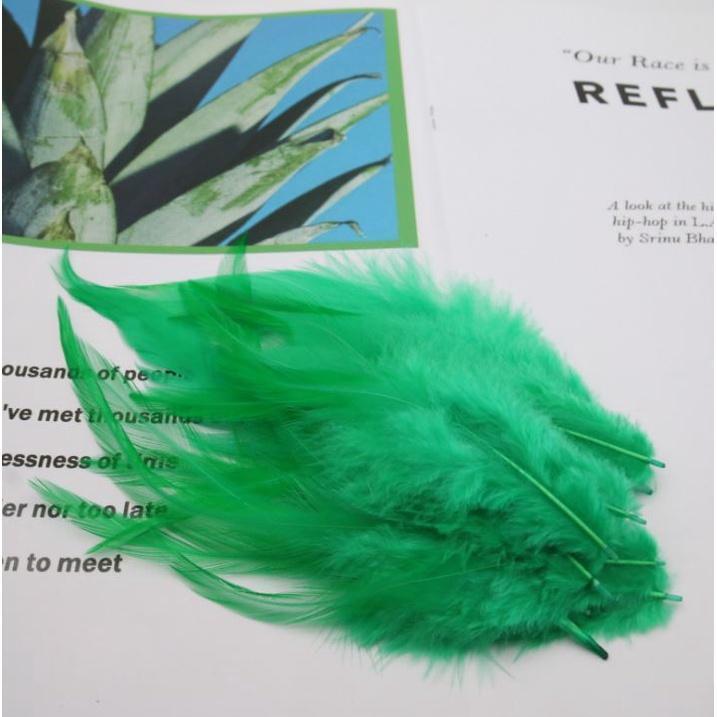 10pcs/lot beautiful Chicken Feather 10-15cm/4-6Inch Rooster Feathers for crafts DIY Jewelry Accessories plumas(1187L) - Image 7