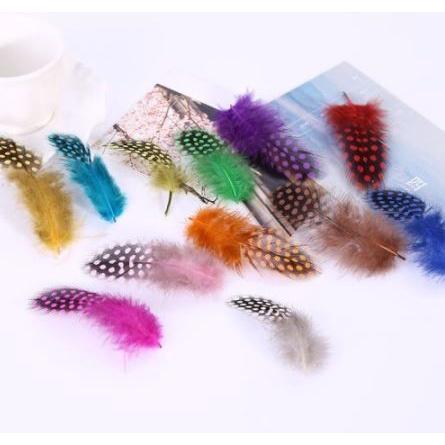 10pcs/lot High Quality Pearl Pheasant Feathers 4-10CM Natural Spotted Chicken Feathers DIY Jewelry Accessories(1191L) - Image 5