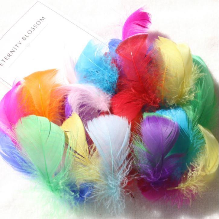 6~12cm Mix Natural Goose Feathers Plumes For Jewelry Carnival Wedding Dress Sewing Accessory Home Decoration 鹅羽毛 (1192L)