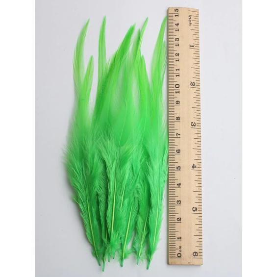 10pcs/lot beautiful Chicken Feather 10-15cm/4-6Inch Rooster Feathers for crafts DIY Jewelry Accessories plumas(1187L) - Image 2