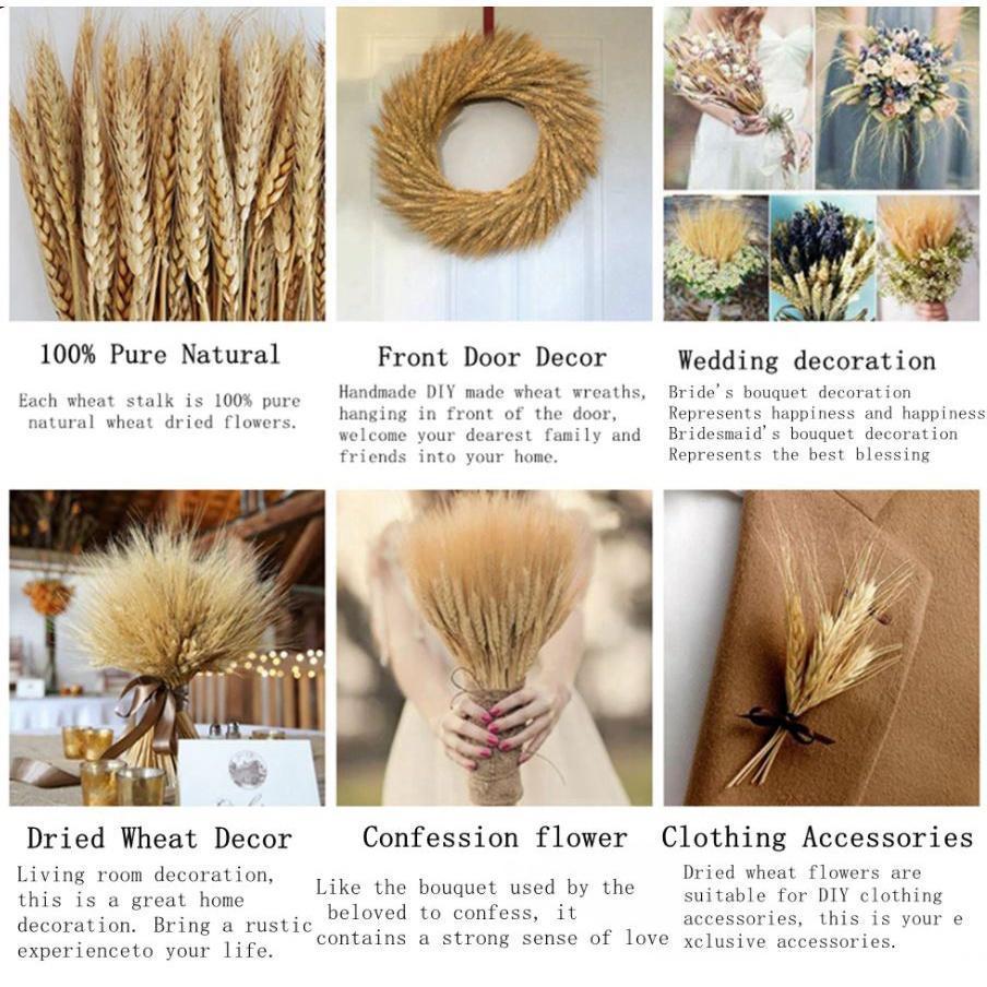 10pcs Artificial Wheat Ears Natural Dried Flowers Grain Bouquet For Wedding Party Decoration (1533L) - Image 8