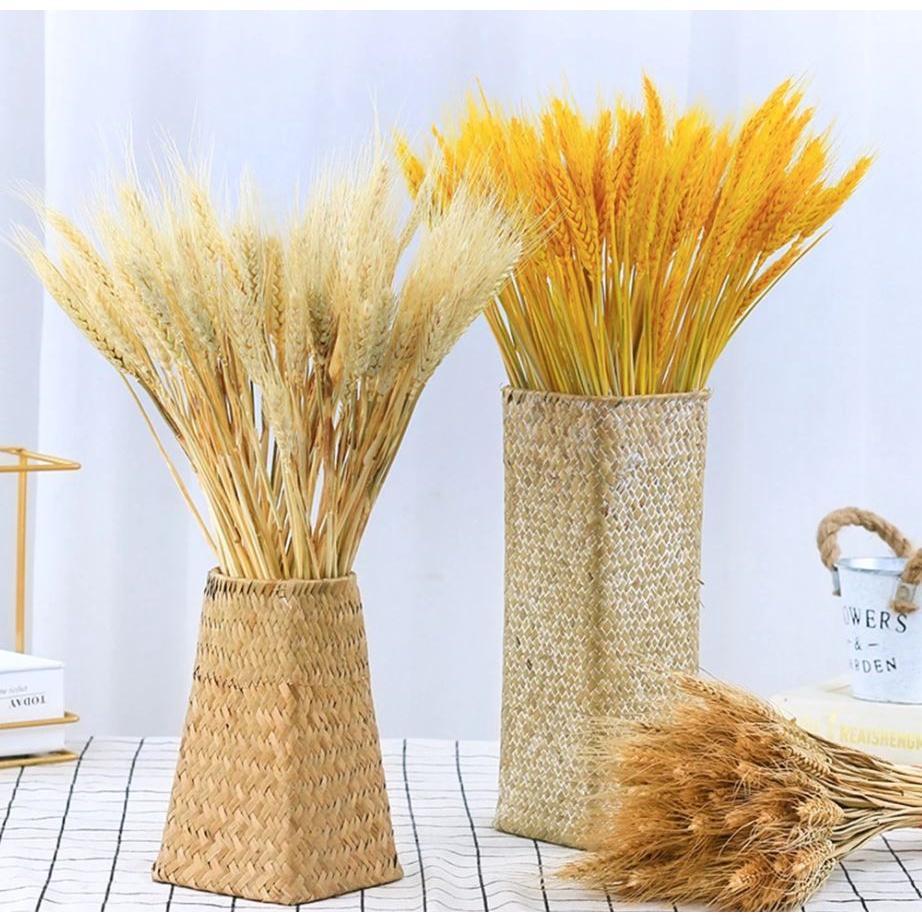 10pcs Artificial Wheat Ears Natural Dried Flowers Grain Bouquet For Wedding Party Decoration (1533L)