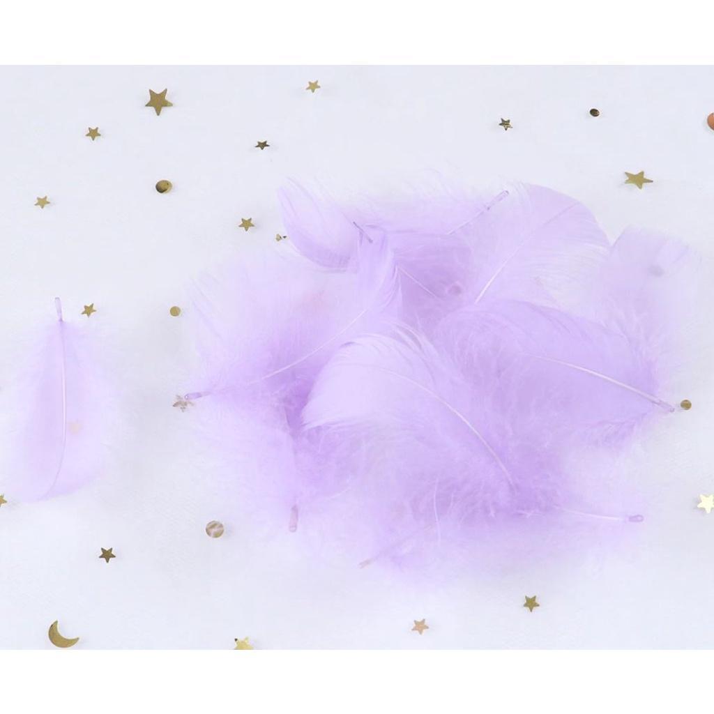 5-8 CM Small Fluffy Goose Feathers Dyed Colorful Swan Plume For Diy Carnival Party Decoration Craft Accessories(883L) - Image 18