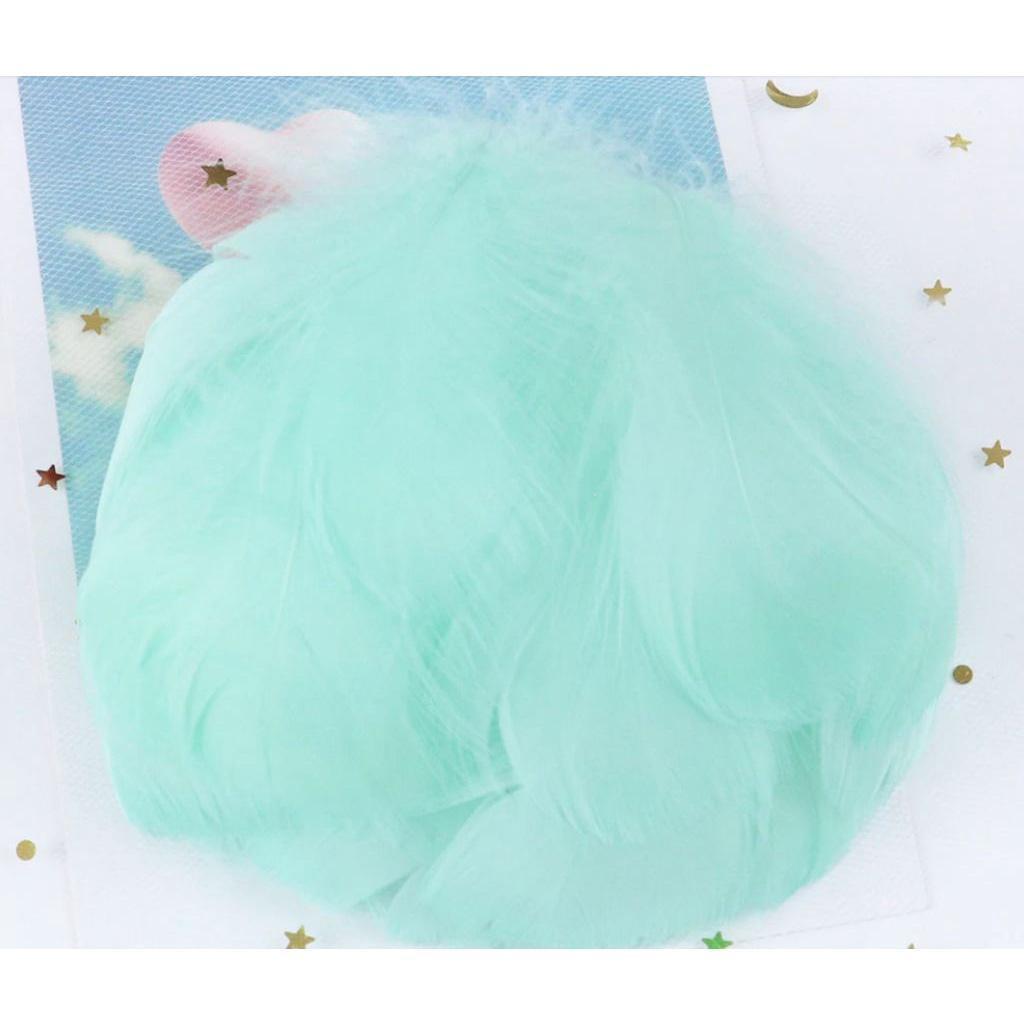 5-8 CM Small Fluffy Goose Feathers Dyed Colorful Swan Plume For Diy Carnival Party Decoration Craft Accessories(883L) - Image 5