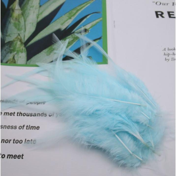 10pcs/lot beautiful Chicken Feather 10-15cm/4-6Inch Rooster Feathers for crafts DIY Jewelry Accessories plumas(1187L) - Image 9
