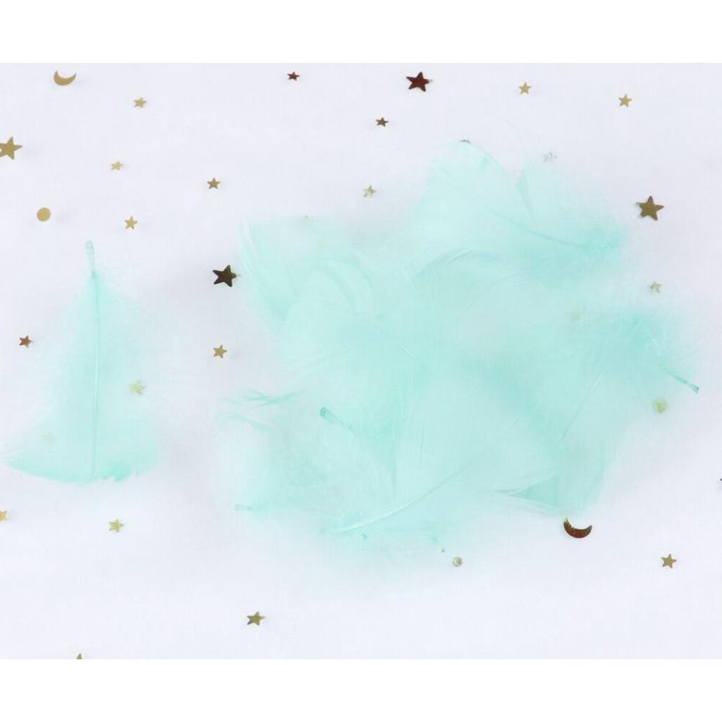 5-8 CM Small Fluffy Goose Feathers Dyed Colorful Swan Plume For Diy Carnival Party Decoration Craft Accessories(883L) - Image 12