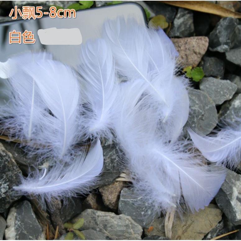 5-8 CM Small Fluffy Goose Feathers Dyed Colorful Swan Plume For Diy Carnival Party Decoration Craft Accessories(883L) - Image 14