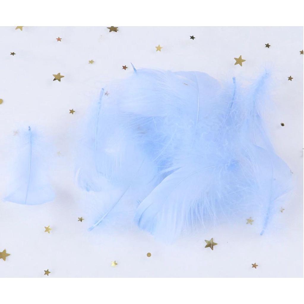 5-8 CM Small Fluffy Goose Feathers Dyed Colorful Swan Plume For Diy Carnival Party Decoration Craft Accessories(883L) - Image 9