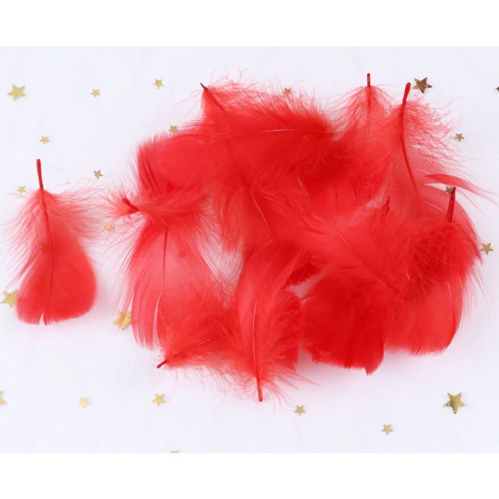 5-8 CM Small Fluffy Goose Feathers Dyed Colorful Swan Plume For Diy Carnival Party Decoration Craft Accessories(883L) - Image 11