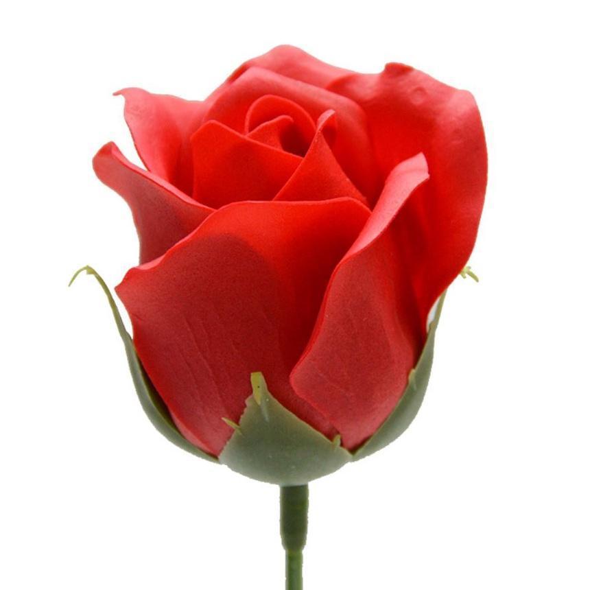 50pcs box New and High Quality 4.5cm Rose Soap Flower Romantic Wedding Party Gift Handmade Flower (671L) - Image 10