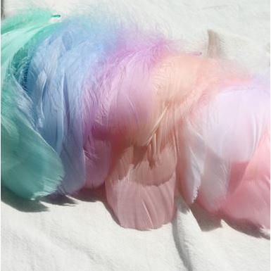 6~12cm Mix Natural Goose Feathers Plumes For Jewelry Carnival Wedding Dress Sewing Accessory Home Decoration 鹅羽毛 (1192L) - Image 7