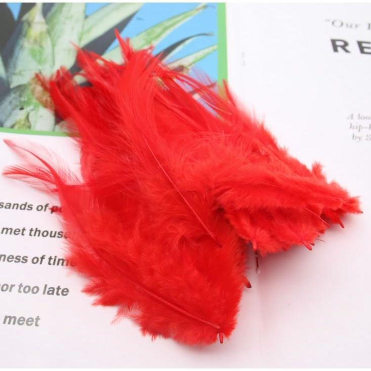 10pcs/lot beautiful Chicken Feather 10-15cm/4-6Inch Rooster Feathers for crafts DIY Jewelry Accessories plumas(1187L) - Image 13