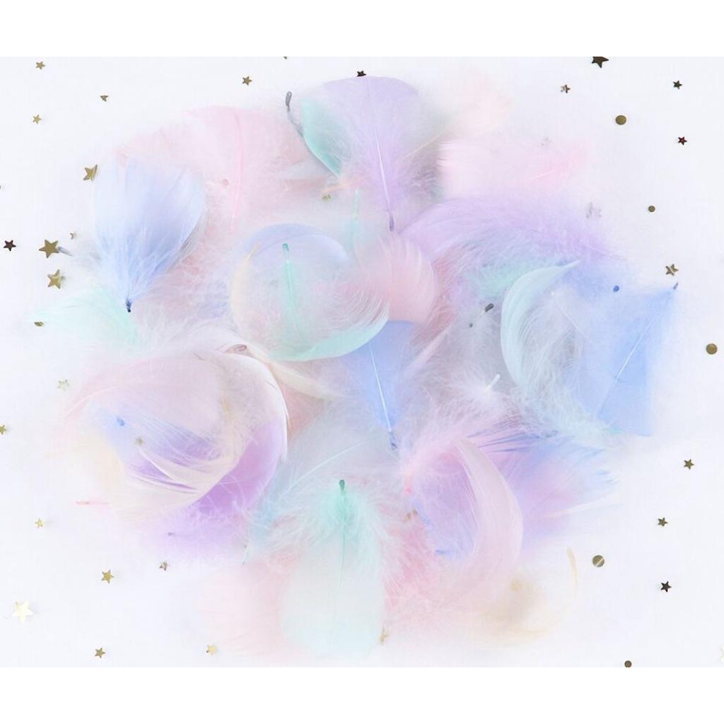 5-8 CM Small Fluffy Goose Feathers Dyed Colorful Swan Plume For Diy Carnival Party Decoration Craft Accessories(883L)